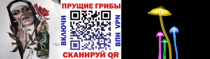 Псилоцибиновые грибы Psilocybine cubensis Сысерть